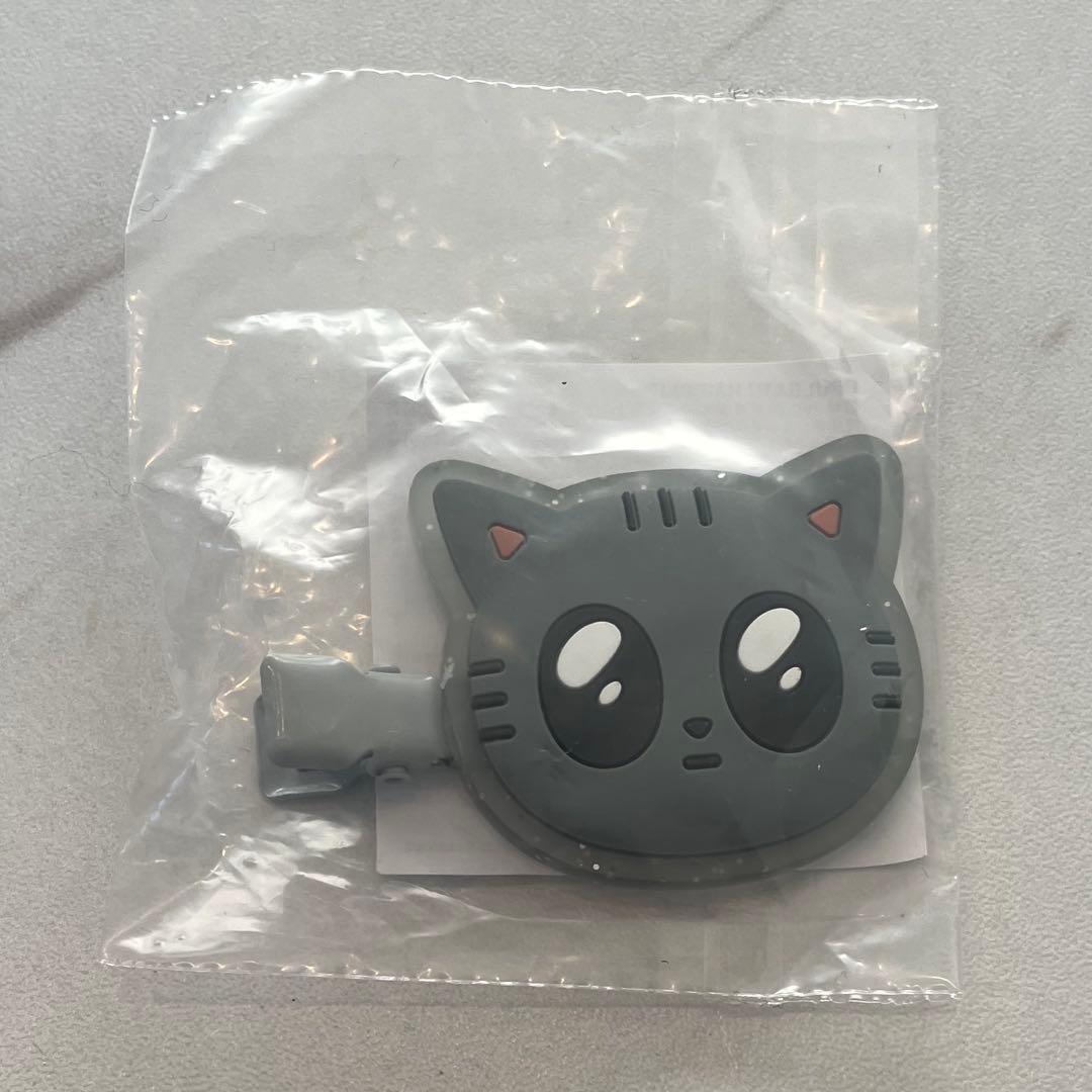 TXT トゥバ カプセルトイ テヒョン ダゴニャン ヘアクリップ - メルカリ