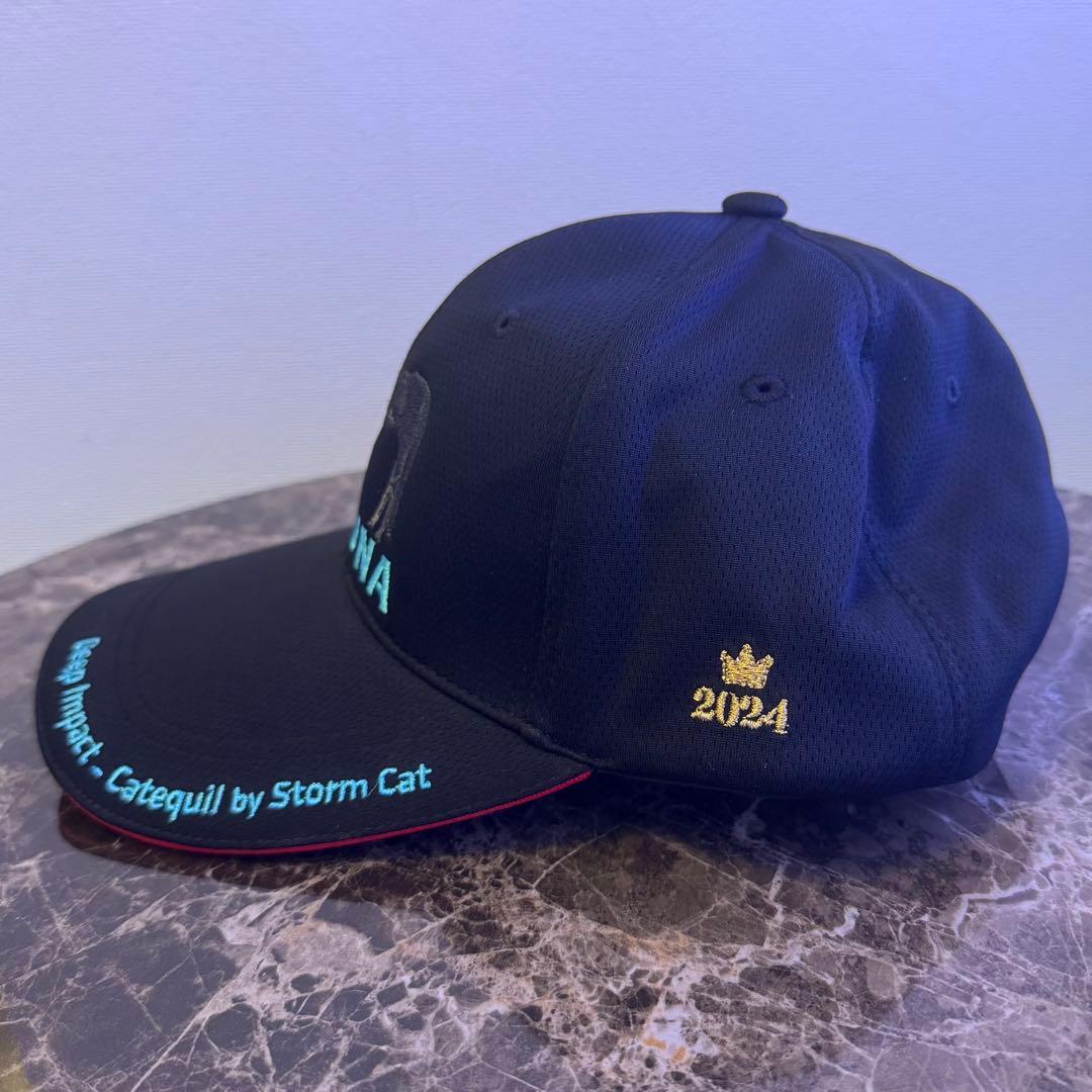 キズナ キャップ 2024年 リーディングサイアー KIZUNA 競馬 JRA - メルカリ