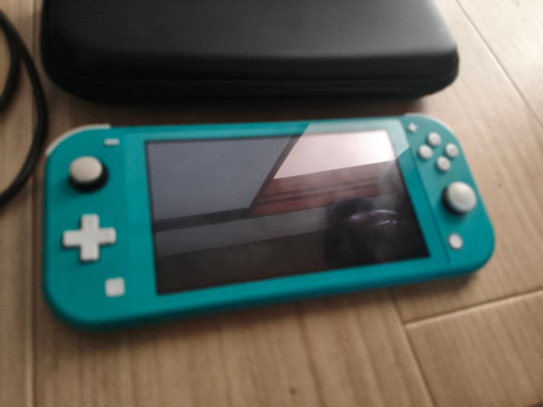 switch Light 充電器 ケースつき