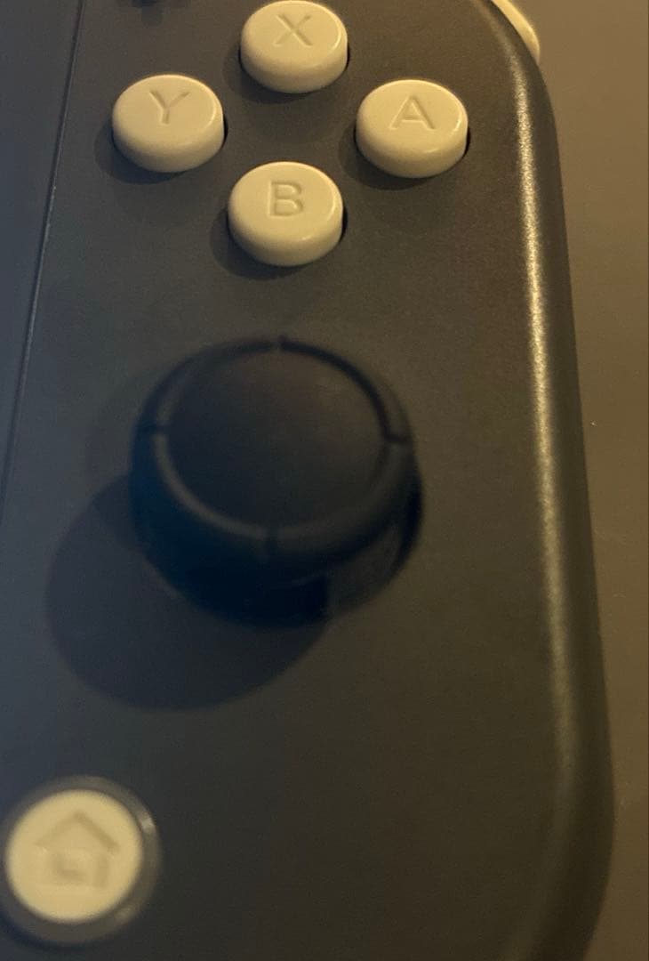 switch lite 本体のみ アナログスティック交換済み