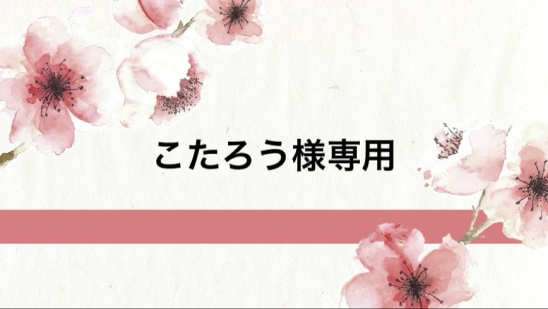 こたろう 仮面ライダーZX | 細井 雄二, 山田 ゴロ, 安土 じょう, 石ノ森 章太郎