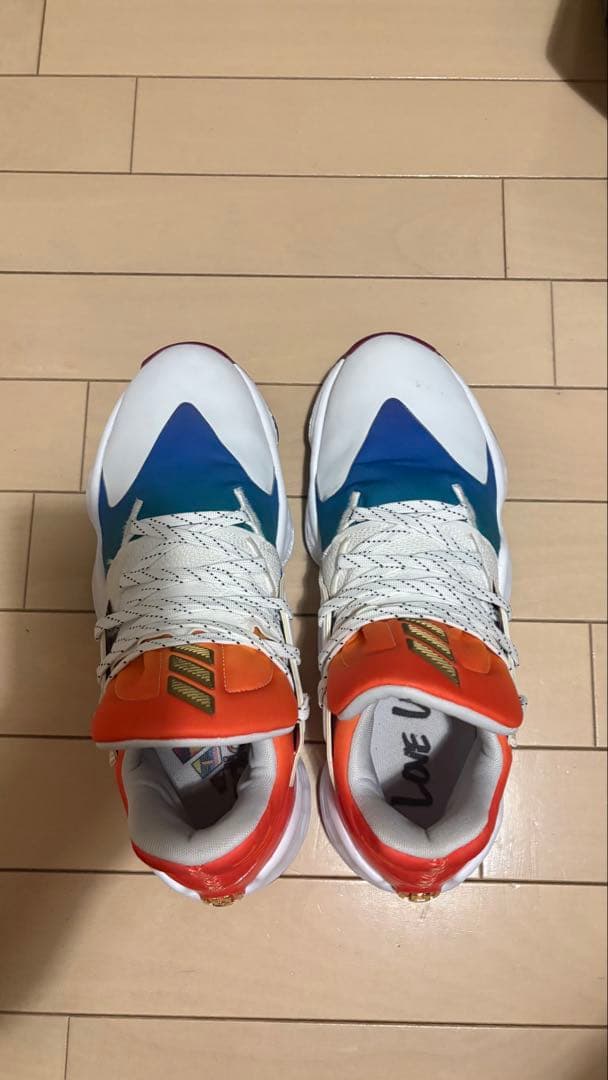 期間限定値下げ中【希少】adidas Harden vol.4 \"Pride\"