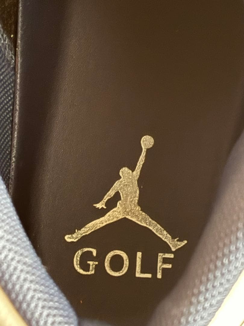 Nike Air Jordan 1 ゴルフシューズ　26.5cm