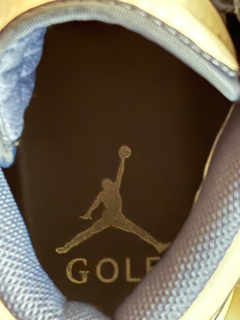 Nike Air Jordan 1 ゴルフシューズ　26.5cm