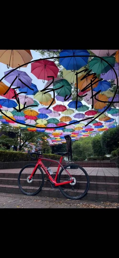 DOMANE SL 6 定価￥408,000 2020年モデルTREK正規店購入 DOMANE SL 6 定価￥408,000 2020年モデルTREK正規店購入 DOMANE SL 6