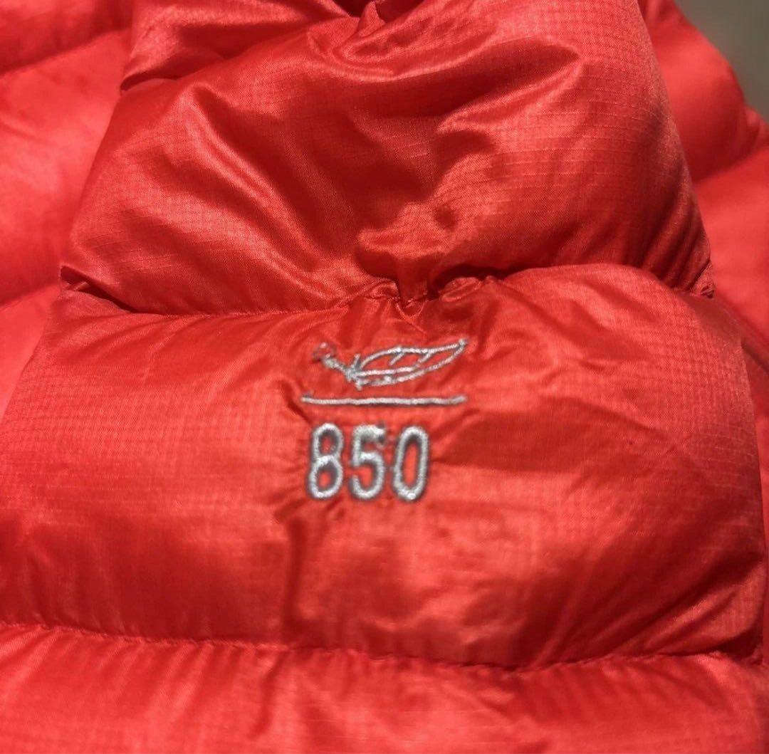 00s L.L.Bean 850ダウンジャケット fti pankandyo短丈