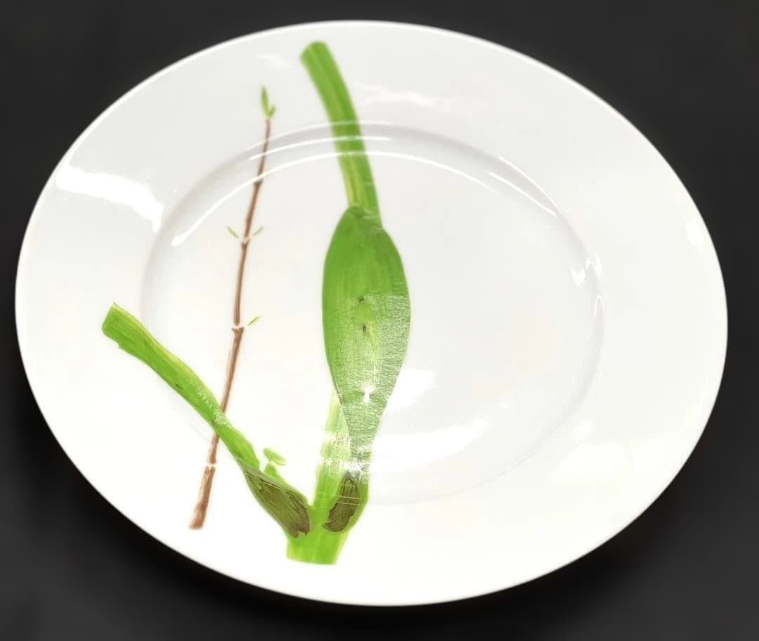 リモージュ レイノー ベルデュラス 22cmプレート4枚セット