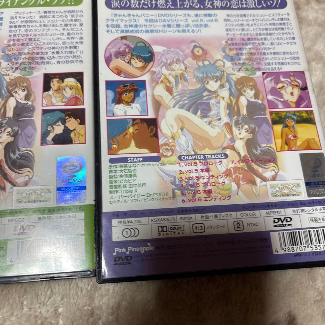 DVD きゃんきゃんバニー エクストラ 全3巻セット