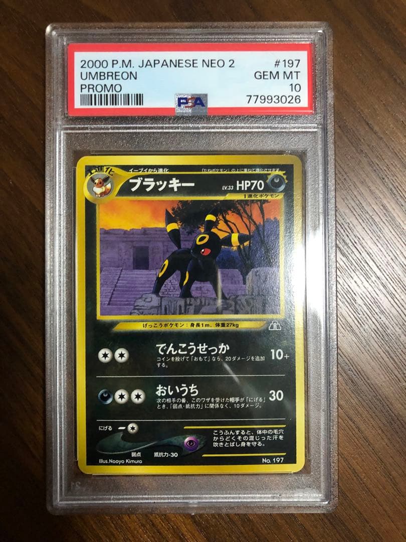 PSA10 ブラッキー ポケモンカード neo 旧裏 旧裏面 プレミアムファイル