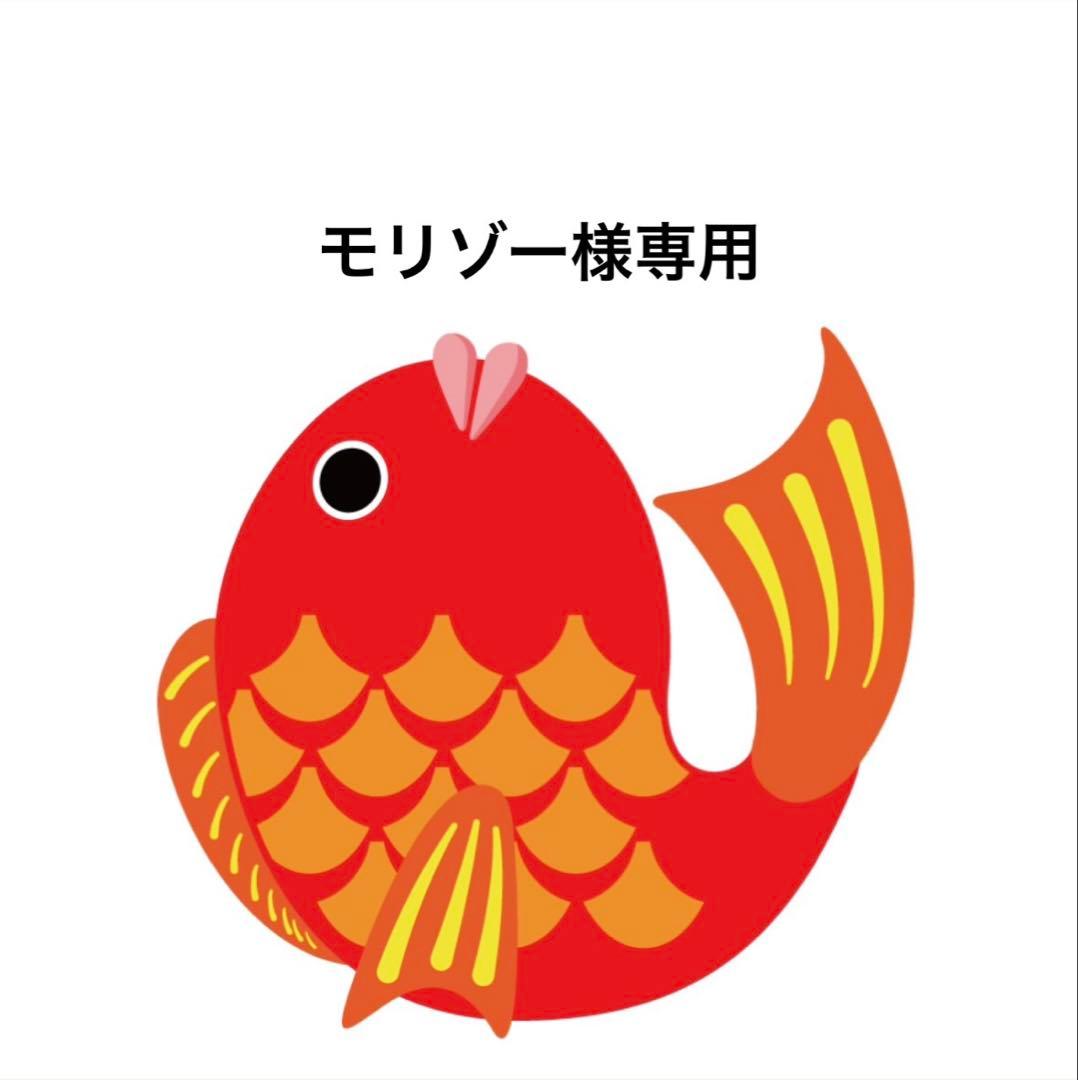 モリゾー　タイラバ　タングステン　目あり無垢 9/1新発売！】驚愕の高コスパ！価格高騰の波に負けない無垢タイラバ