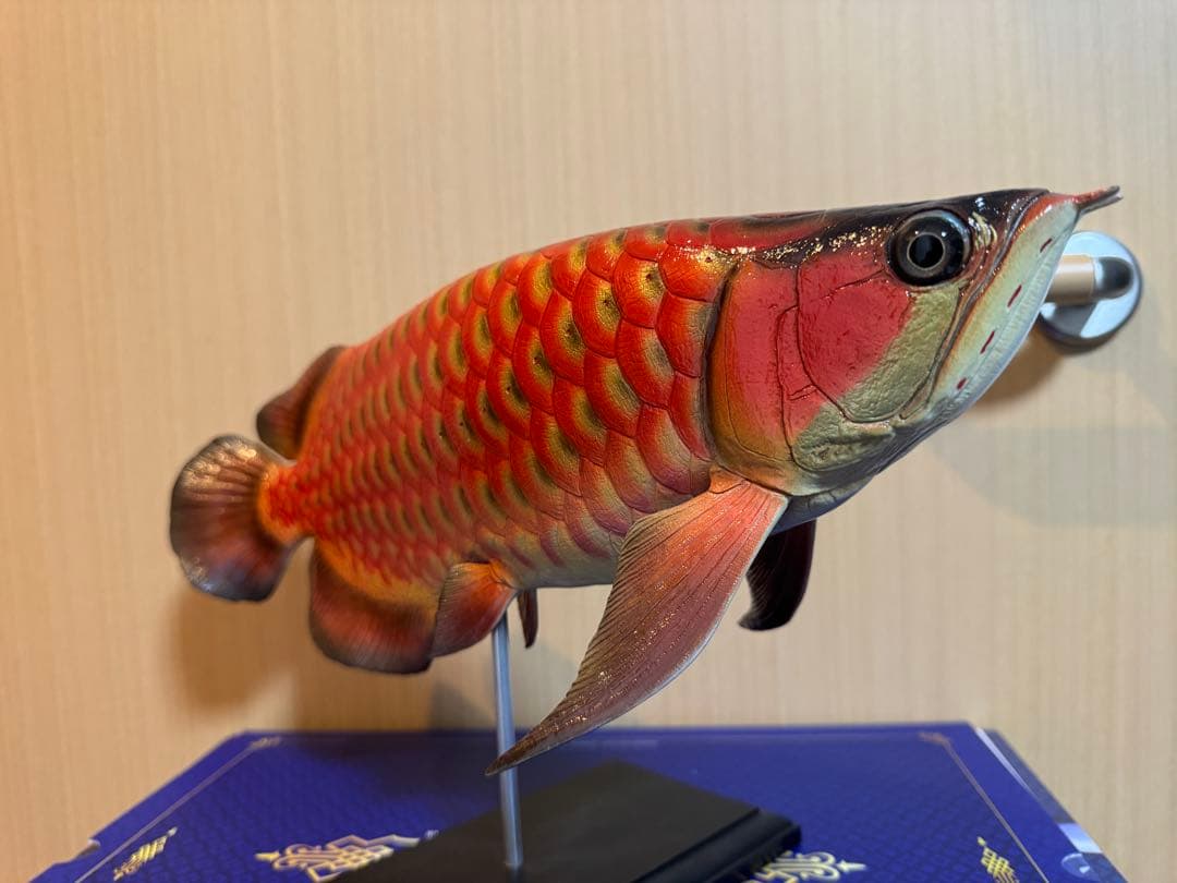 41cmアロワナフィギュア レプリカ