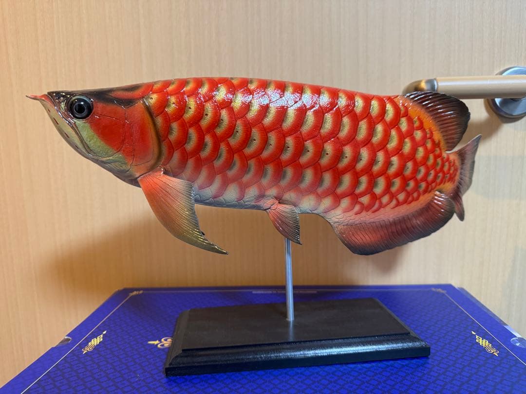 41cmアロワナフィギュア レプリカ