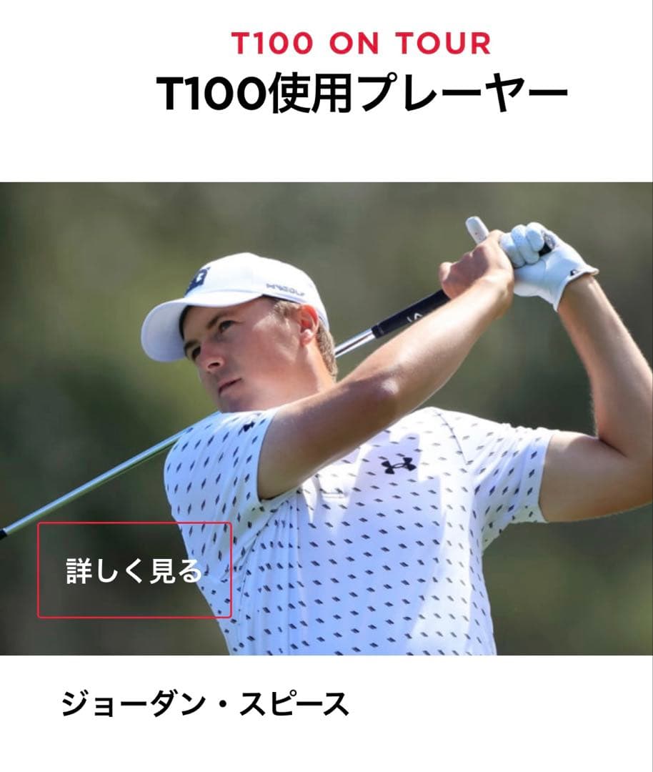 新品 タイトリスト T100 アイアンセット N.S.PRO 105T シャフト