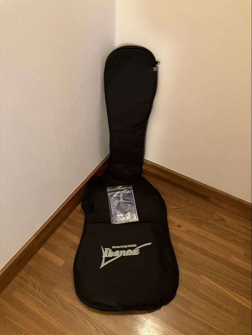 Ibanez アイバニーズ Gio GSR320 MRS 改造品 ケース付き - メルカリ