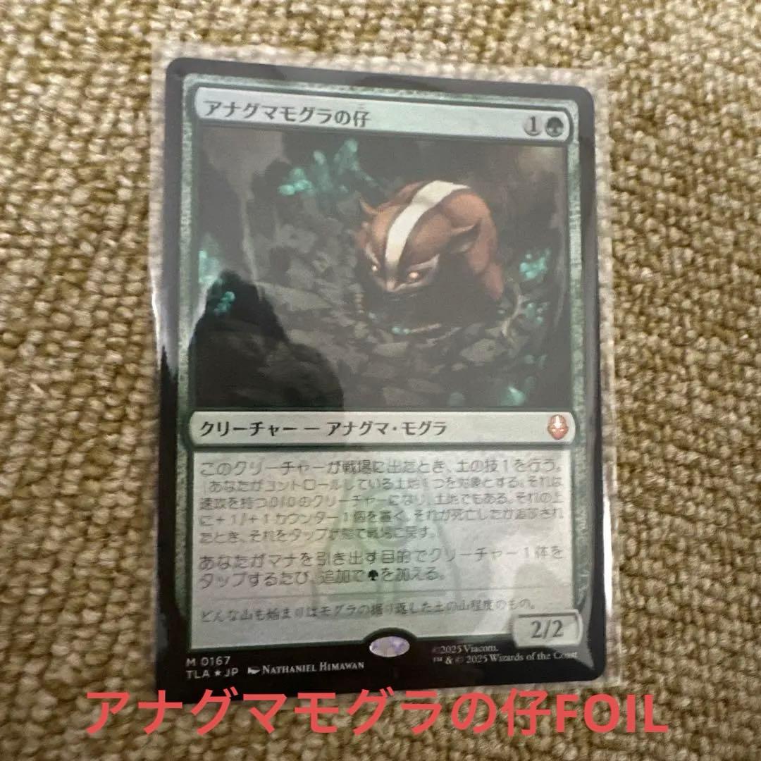 mtg アナグマモグラの仔 ボーダーレス MTG 英語版 アナグマモグラの仔