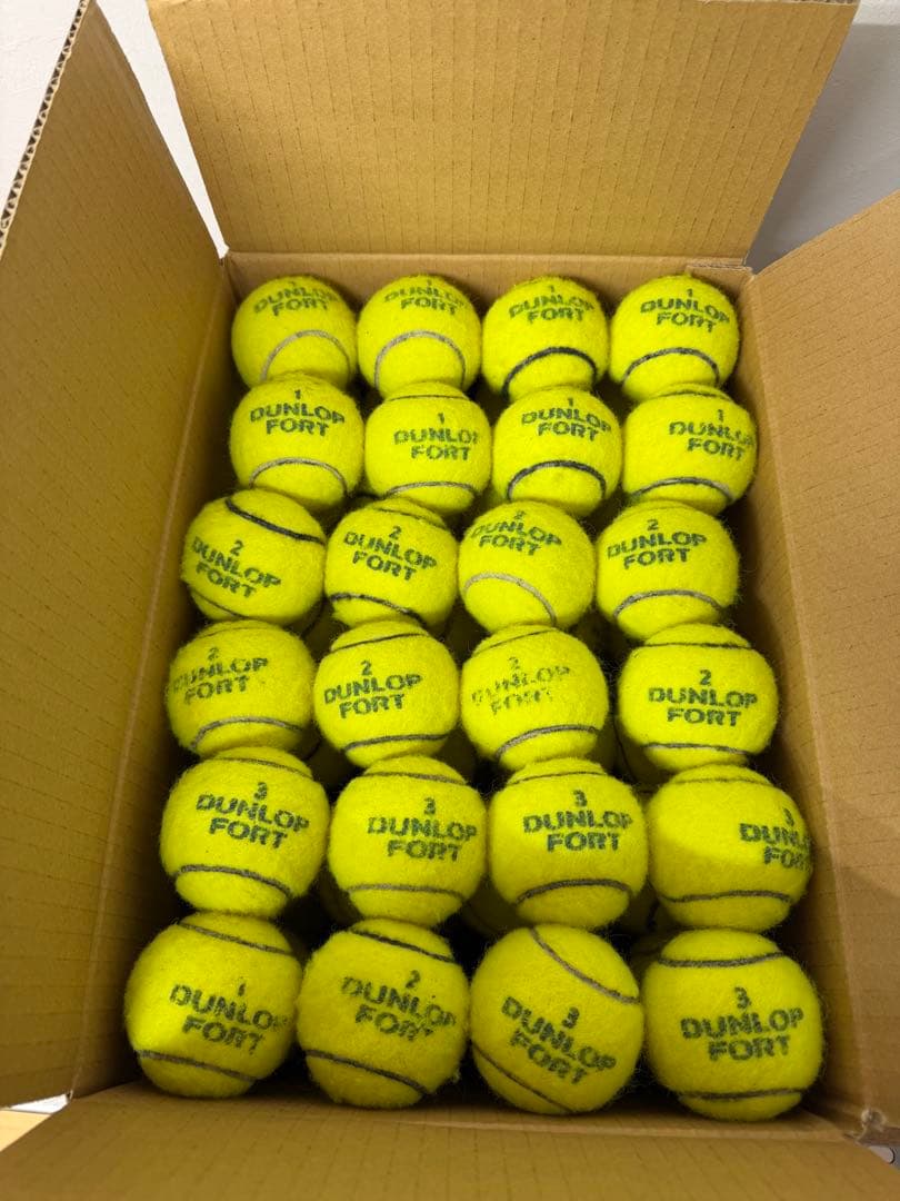 ダンロップフォート テニスボール 96球セット DUNLOP（ダンロップ） 「2球入×15缶セット 箱なし 「FORT フォート [2