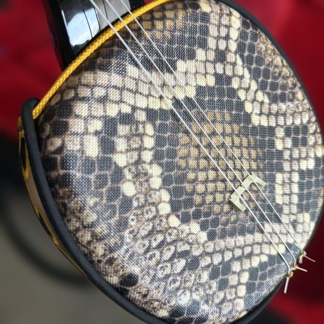 サマーセール❣️沖縄 三線 ケース付き 中古