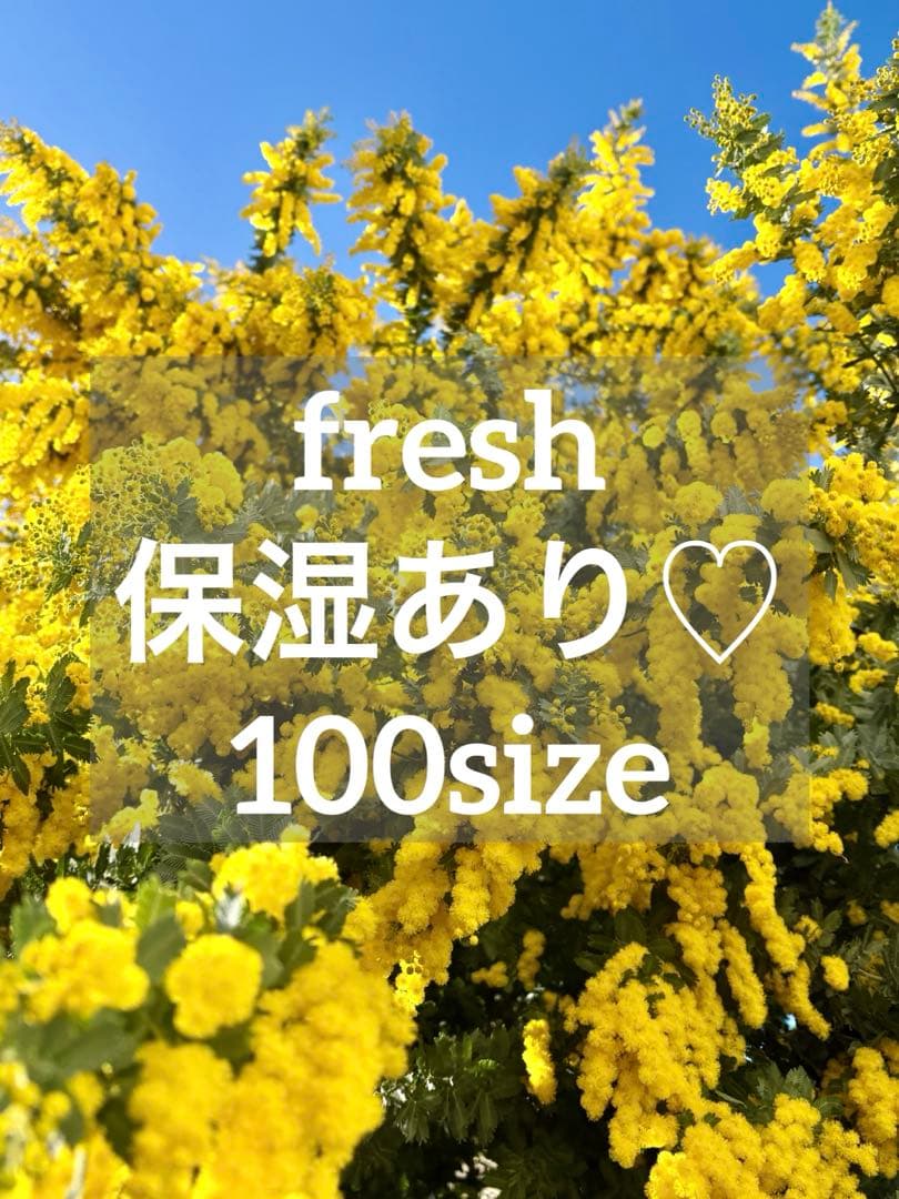 ◇フレッシュ 保湿あり◇ ミモザ 花材詰め合わせ ドライフラワー 80