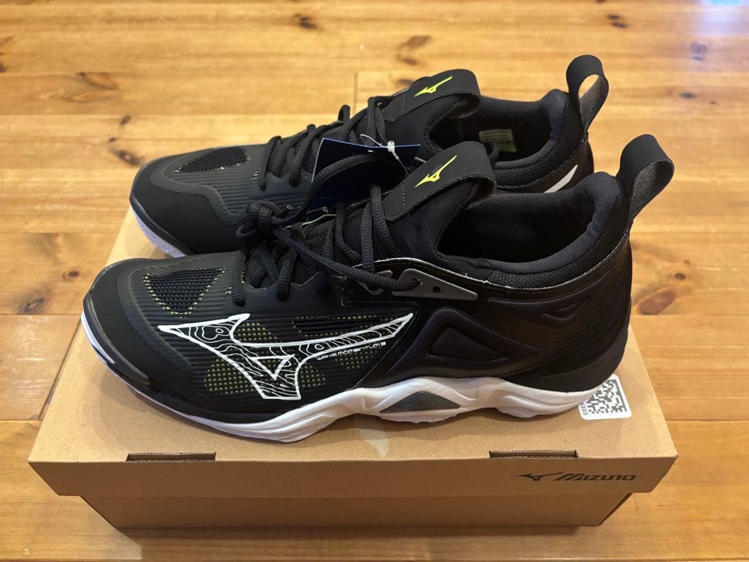 シューズ MIZUNO WAVE MOMENTUM 3 29.5cm