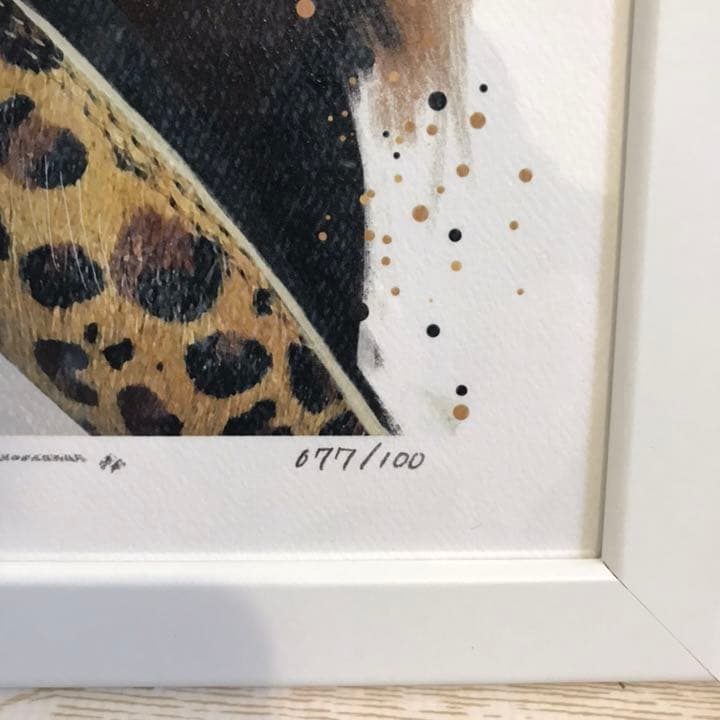 Reina Koyano Concrete Jungle アトモス限定 - yellows.co.jp 日本