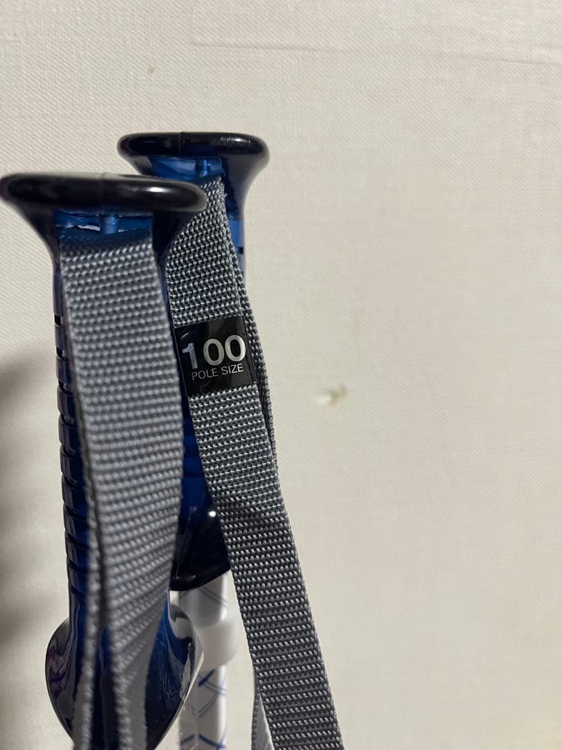 【キッズスキー】DYNASTAR ディナスター 120cm ブーツ 21.0cm