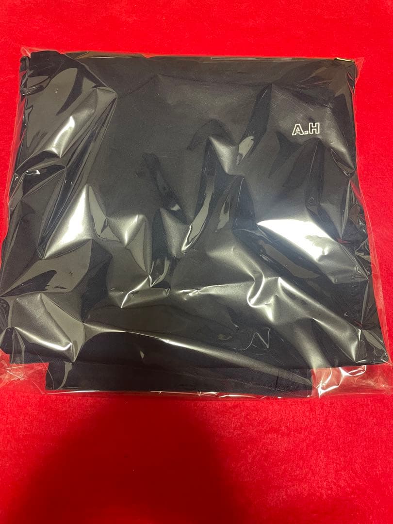 ZORN着用 BROCHURE 1P BIG CHINO PANTS A.H - メルカリ