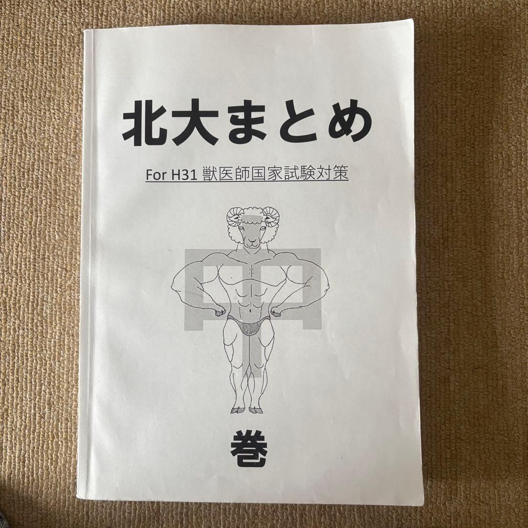 北大まとめ　上中下巻　3冊