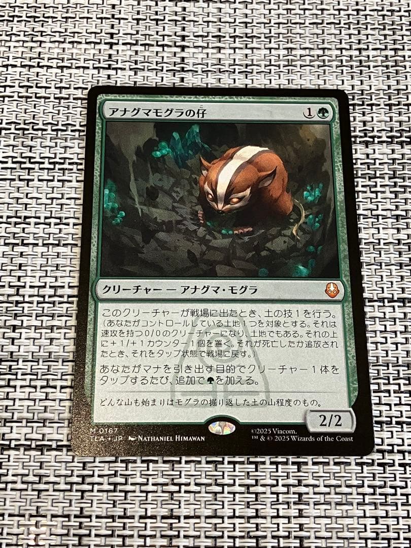 MTG/日本語版/アナグマモグラの仔/Badgermole Cub/アバター 伝説の少年