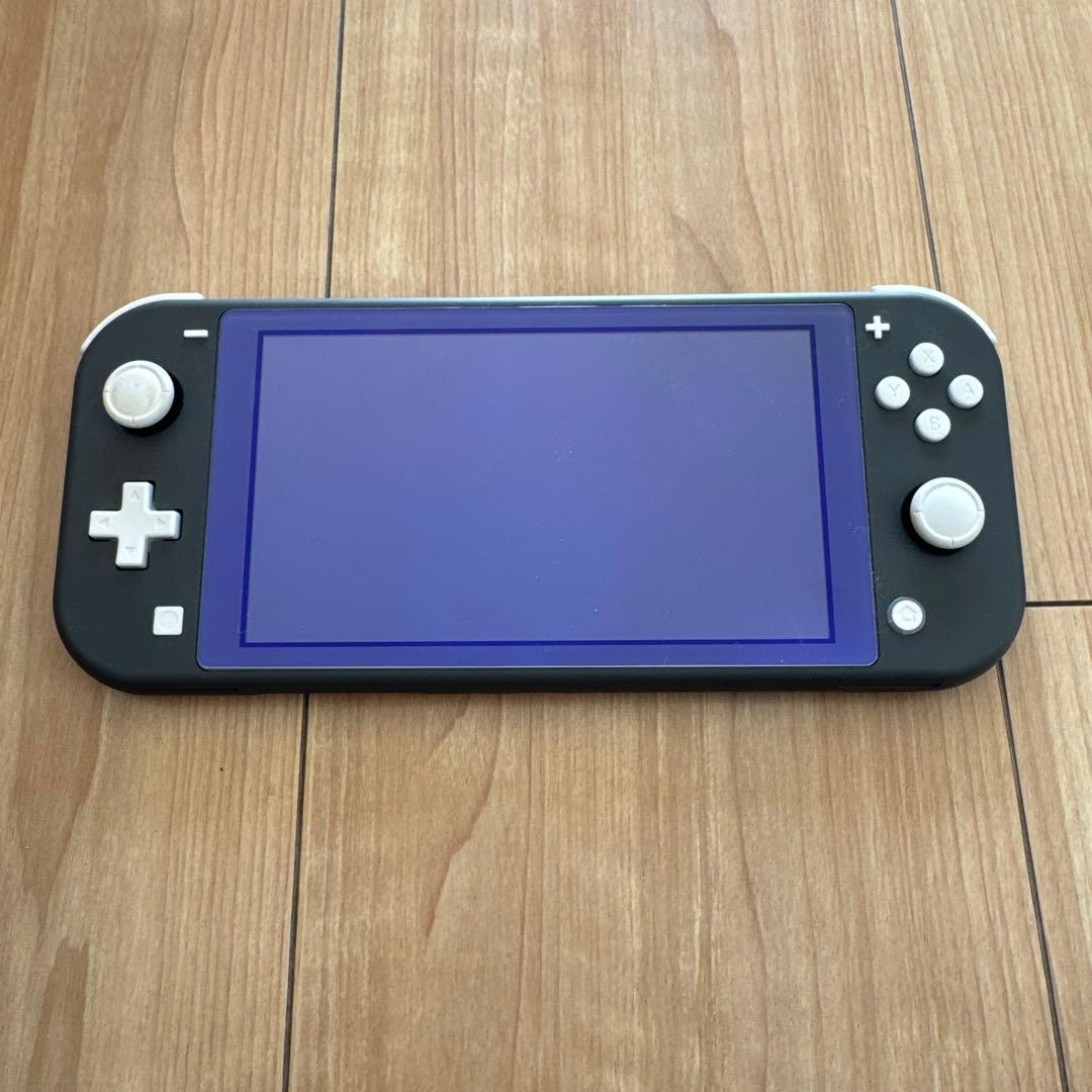 Nintendo Switch Lite グレー 本体 ACアダプター付き - メルカリ
