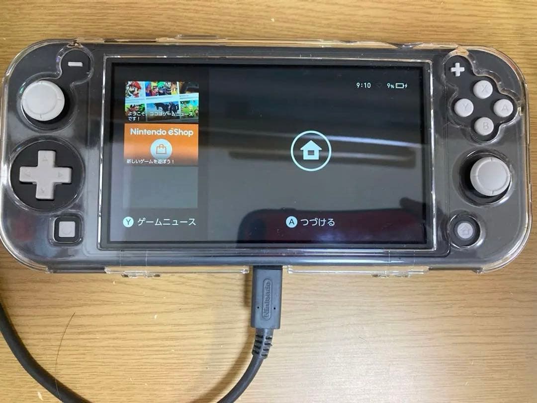 Nintendo Switch Lite グレー 本体 + ケース + 充電器