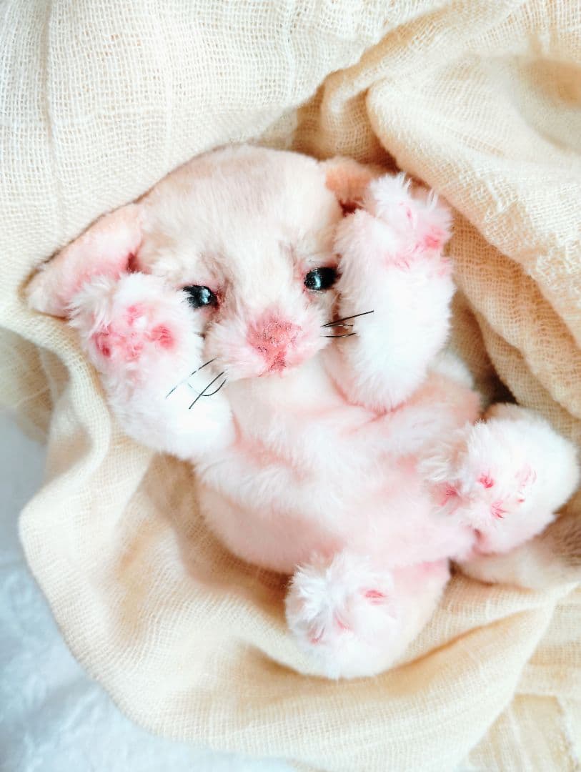 生後10日♡リアルな子♡フェネック赤ちゃん♡アートドール