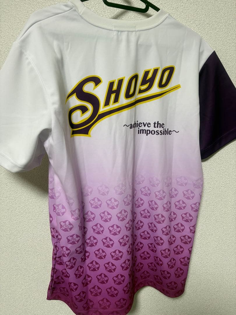 昇陽高校バレーボールTシャツ - メルカリ