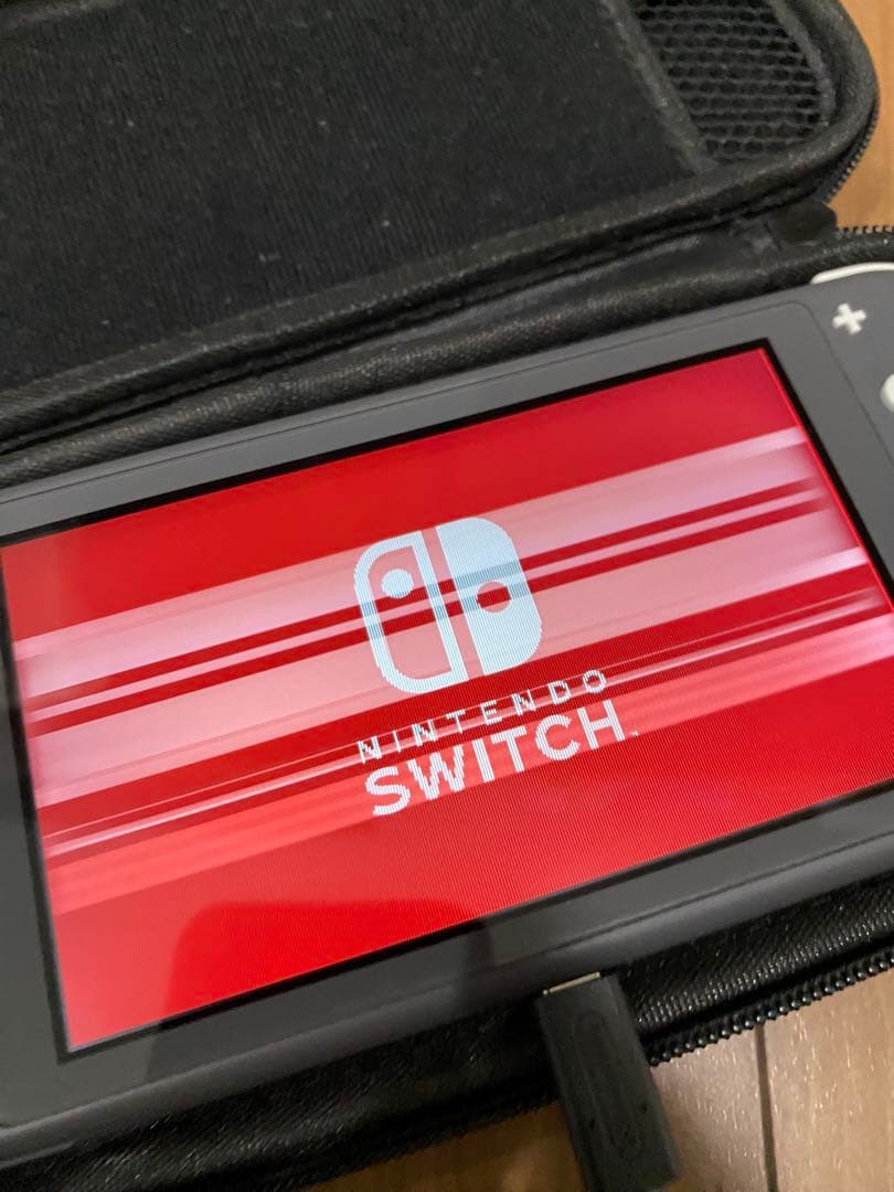 Nintendo Switch Lite グレー 専用ケース付き ジャンク品 ジャンク】Nintendo Switch Lite 本体 Nintendo Switch Lite グレー