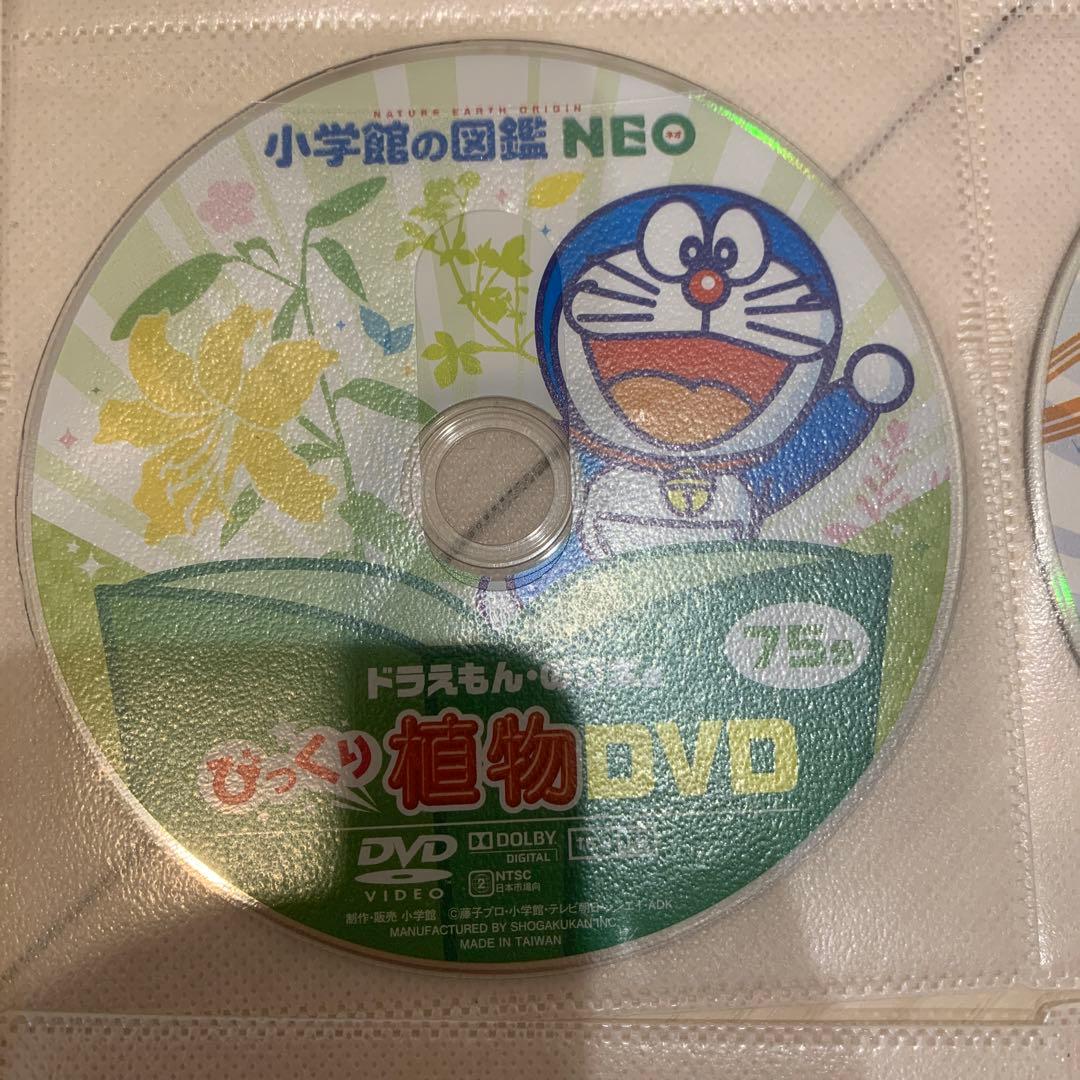 小学館の図鑑NEO DVDのみ 【7枚セット】 小学館の図鑑NEO ネオ DVDのみ