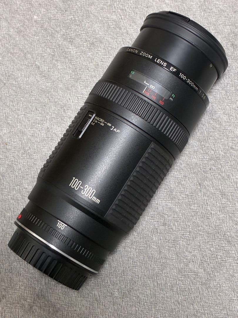 ⭐️美品⭐️キャノン Canon EF 100-300 F5.6 超望遠レンズ 2026年最新】EF 100-300mm F5.6 Lの人気アイテム - メルカリ