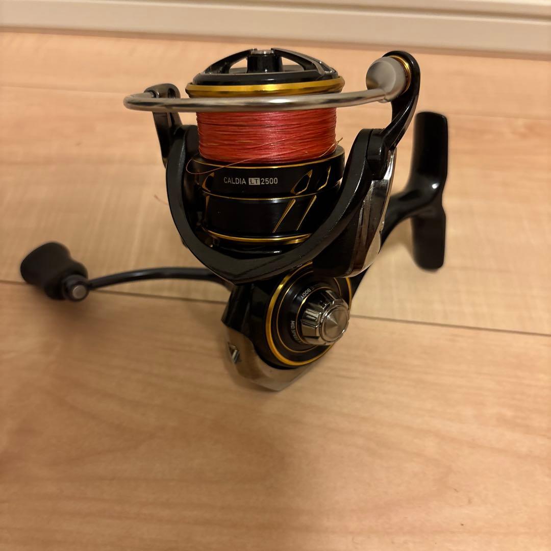 DAIWA （ダイワ） 21CALDIA（カルディア） LT2500 611_1.jpg?20210209092833