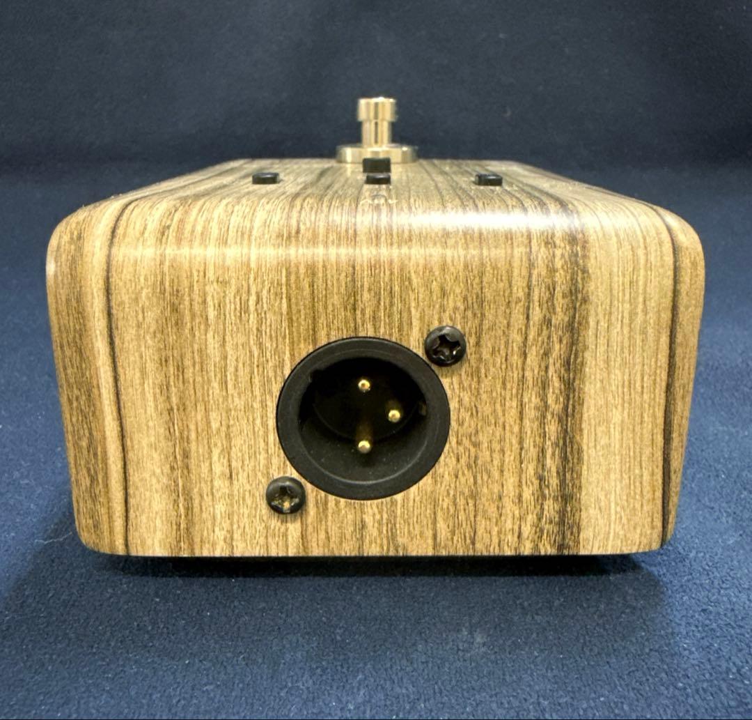 L.R.Baggs 【ACTIVE DI】 ミュート付アクティブDI