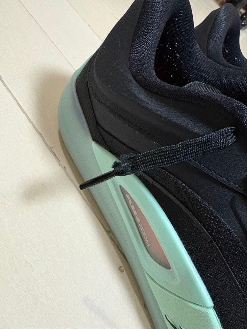 【値下げ】NIKE JORDAN ZION4 PF 27.5cm