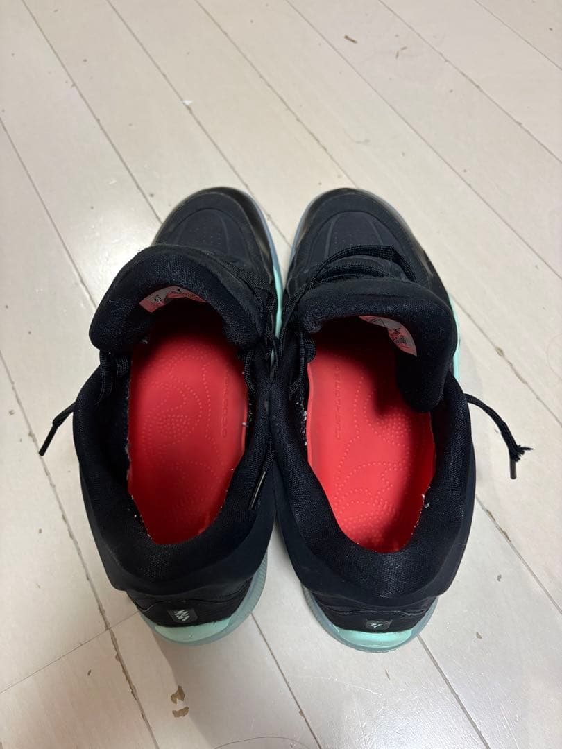 【値下げ】NIKE JORDAN ZION4 PF 27.5cm