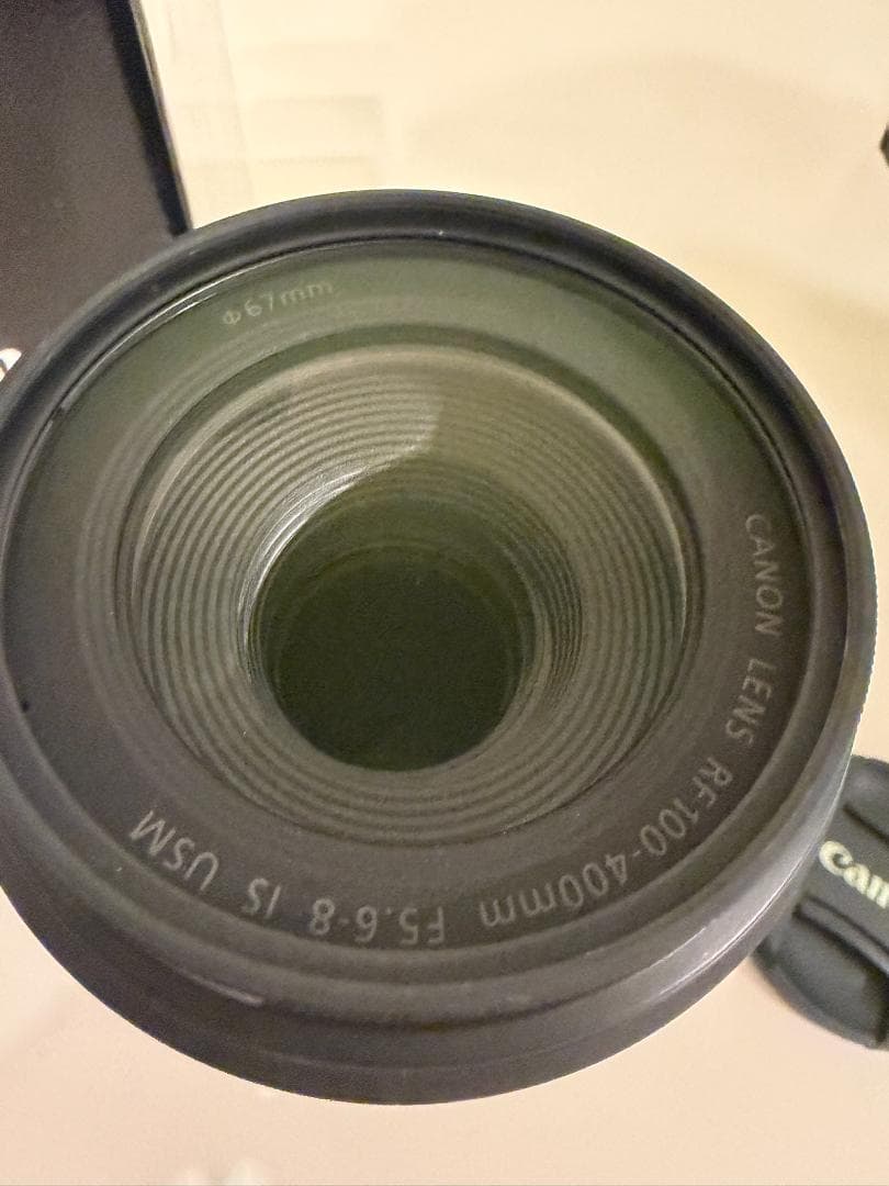 美品 キヤノン RF100-400mm F5.6-8 IS USM おまけ複数
