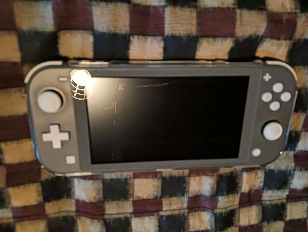 Nintendo Switch Lite グレー 本体　カバー付き 任天堂 Nintendo Switch Lite [グレー] 価格比較 - 価格.com