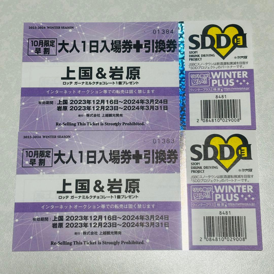 上越国際スキー場 岩原スキー場 ナイター付きリフト券 2枚セット 上国