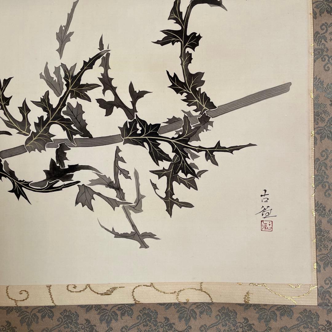 掛軸小林古径薊(あざみ) 掛軸 小林古径 薊(あざみ)