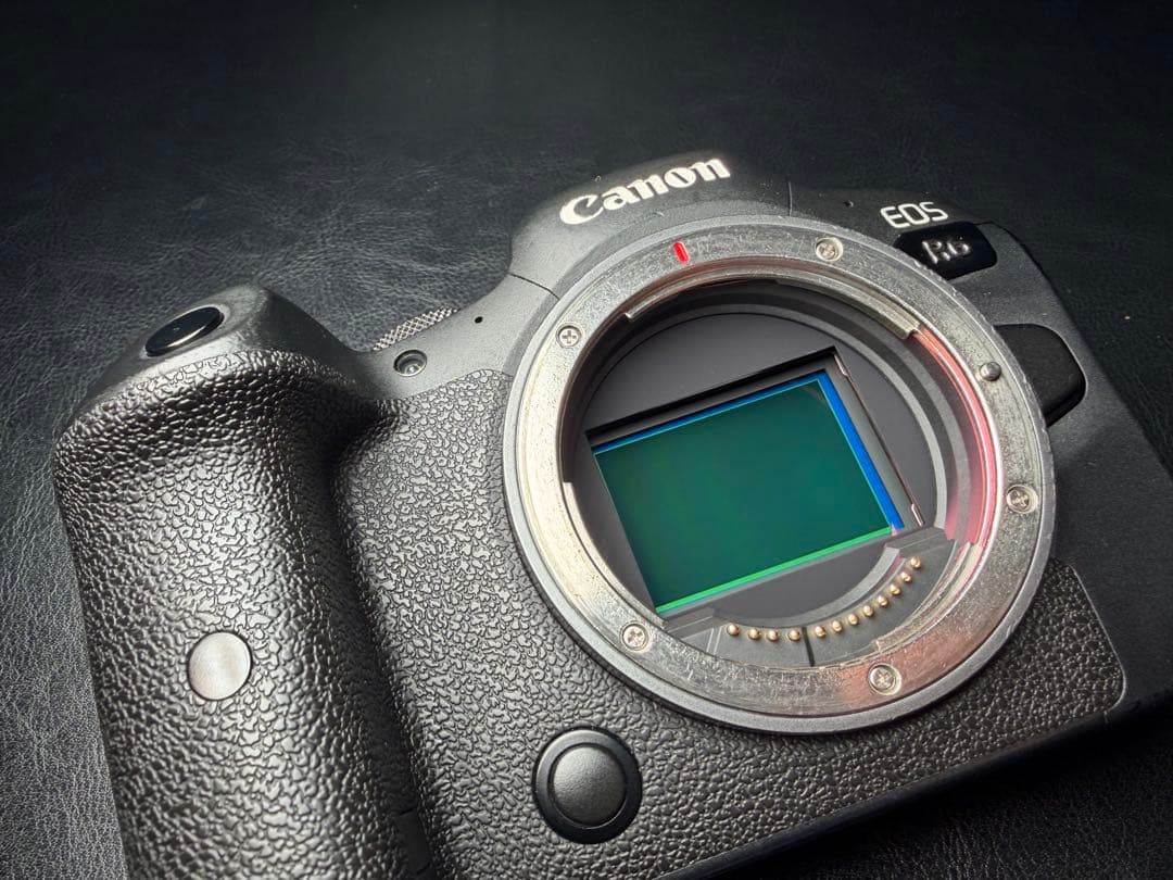 Canon EOS R6 デジタル一眼レフ 本体 バッテリー2個セット(073