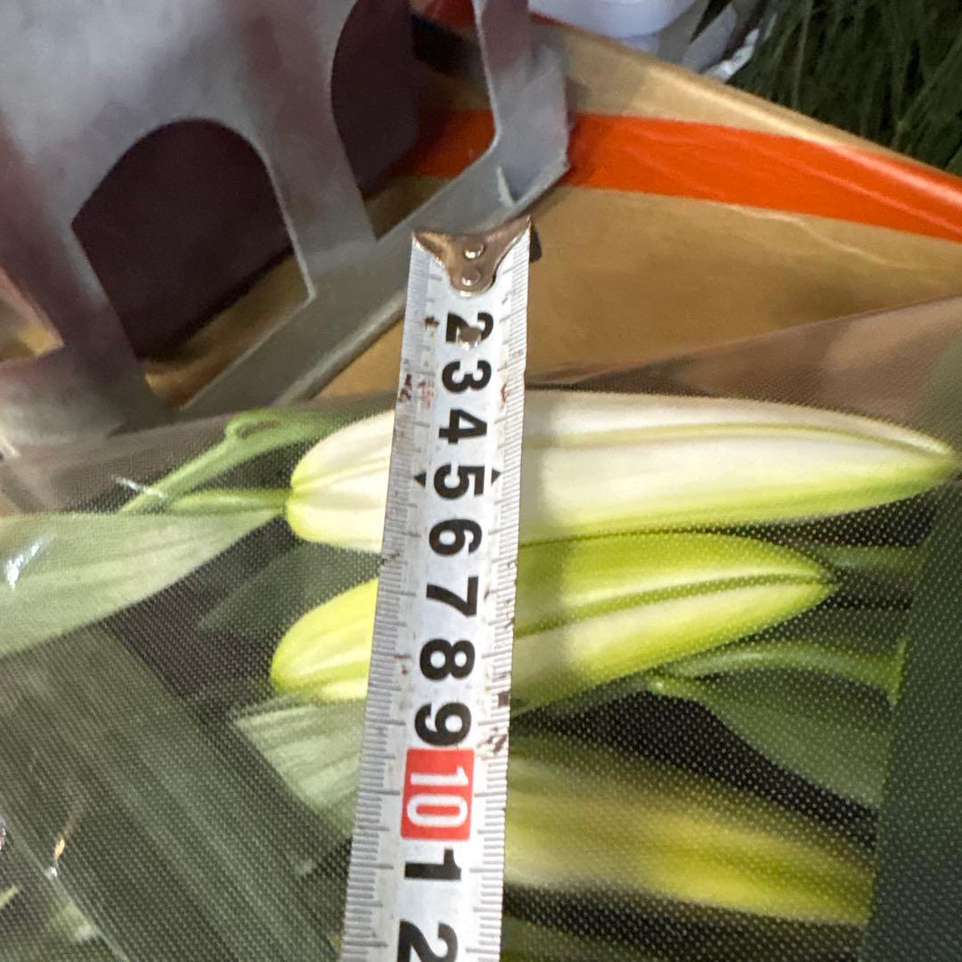 プチプラピアスイヤリング様専用 同梱アヌースカ10本 シベリア トルコ