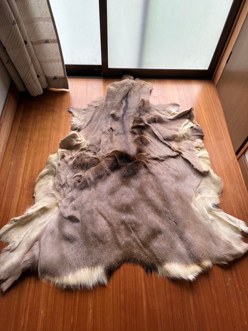 北海道産　鹿　毛皮　ラグ　マット　140×120 値下げ交渉あり エゾシカ毛皮のラグマット、展示販売しています 【YUKARA AUTO CAMP