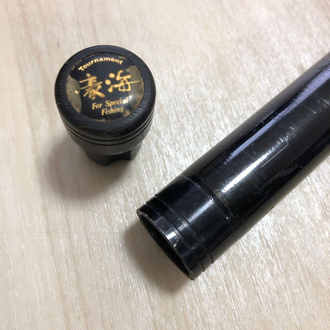 AWトーナメント豪海 24-544 ダイワ 石鯛竿 アモルファスウィスカー