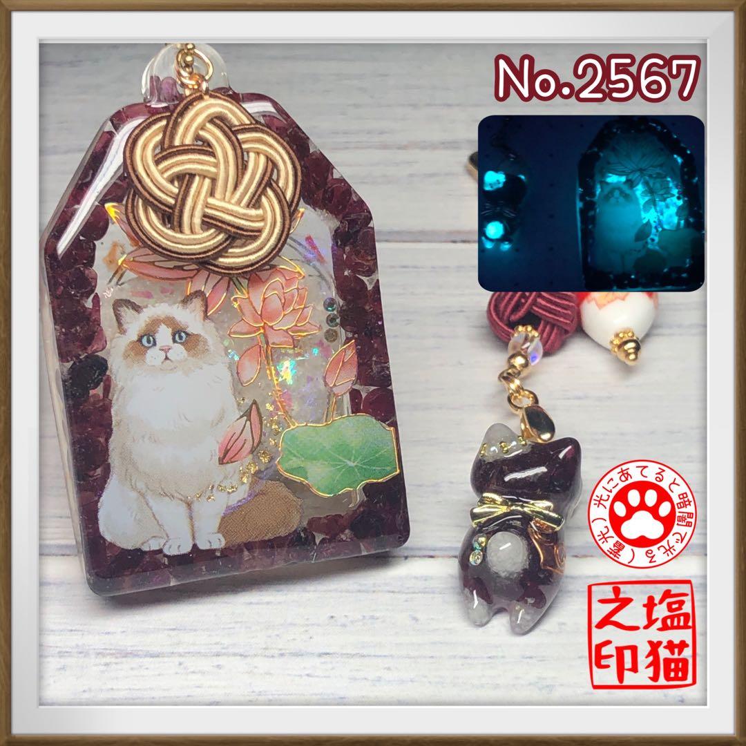 桔梗 サマ♡10点☆6/1