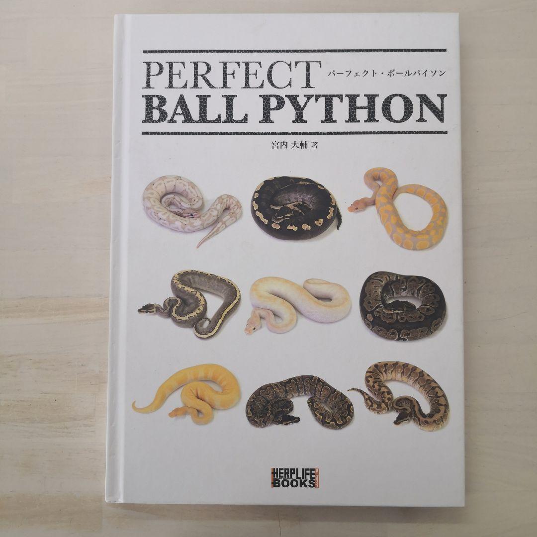 パーフェクト・ボールパイソン PERFECT BALLPYTHON] A must-have dark morph. [GHI] - YouTube