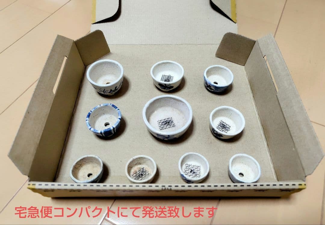 松本松石、松山】ミニ盆栽鉢10個セット